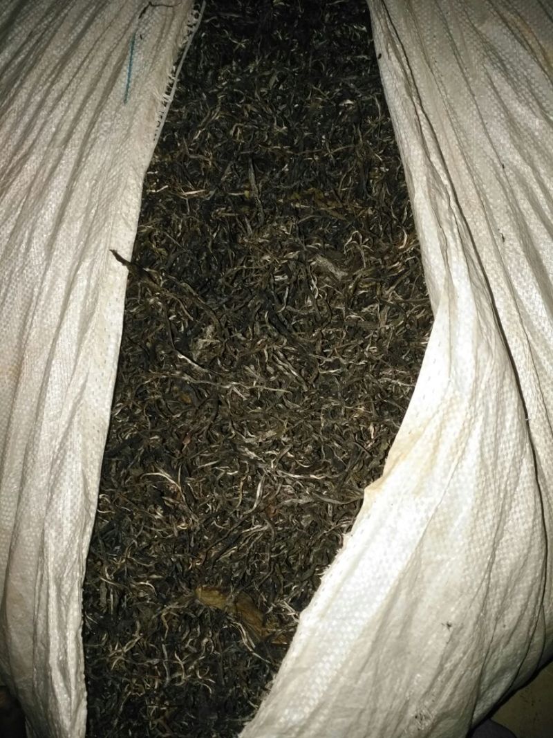 古树普洱茶大叶普洱茶