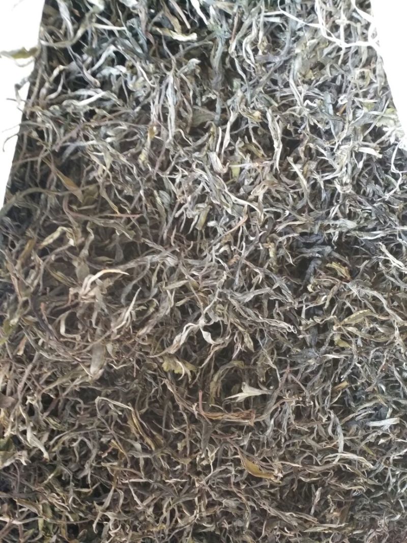 古树普洱茶大叶普洱茶