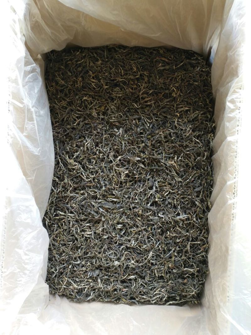 古树普洱茶大叶普洱茶