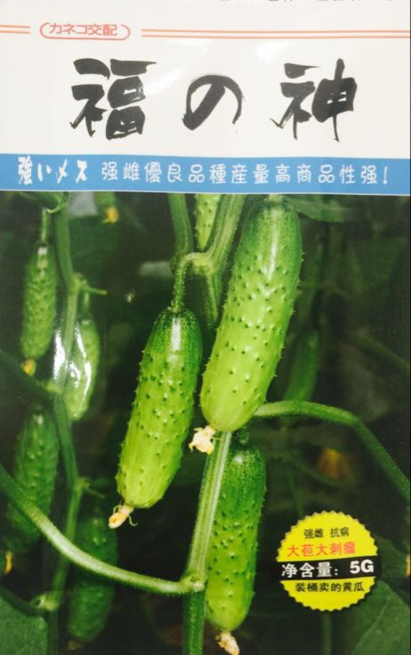 黄瓜种子
