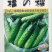 黄瓜种子