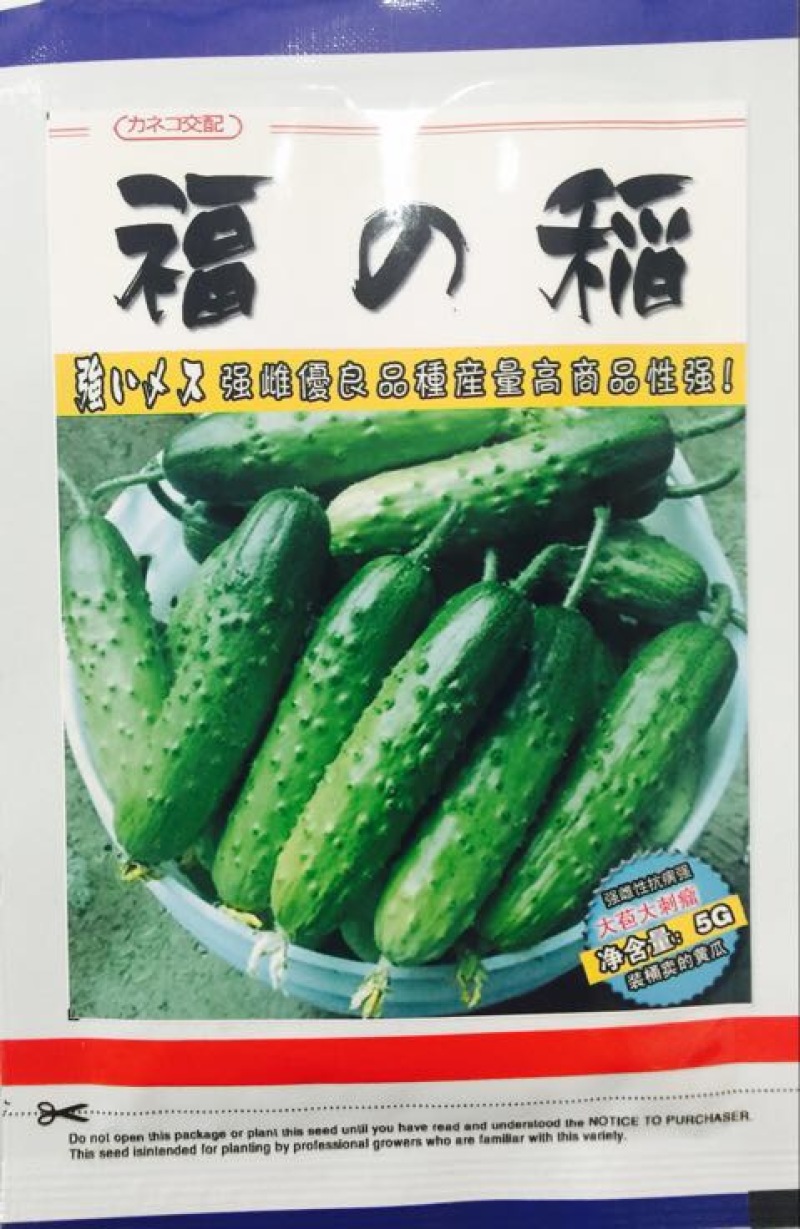 黄瓜种子