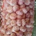 大蒜5.5~6cm干蒜