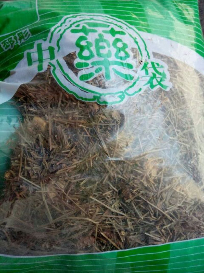 松针河北干货人工种植量大从优欢迎选购