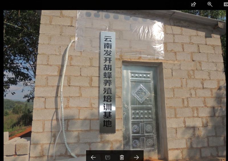 胡蜂平箱装