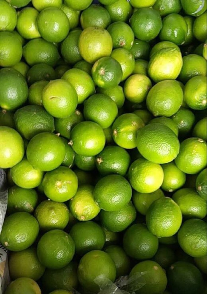 青柠檬