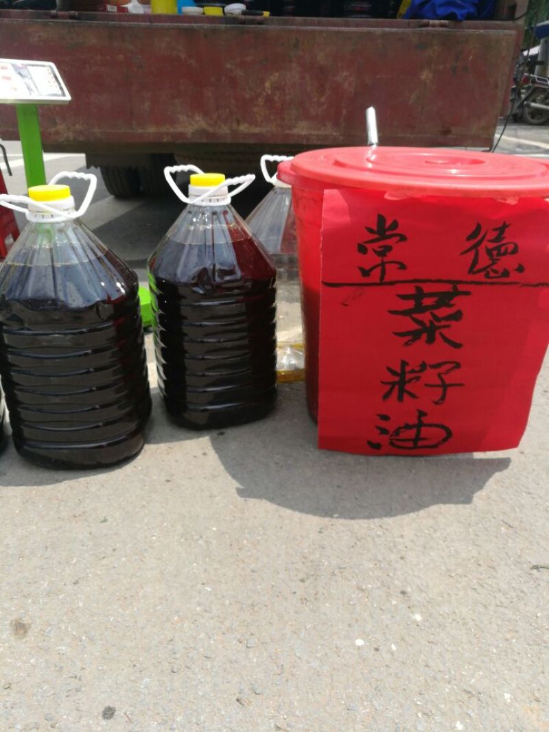 油菜籽4