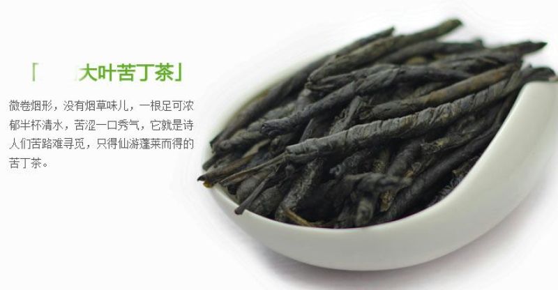 苦丁茶广西干货各种规格1斤起包邮量大从优