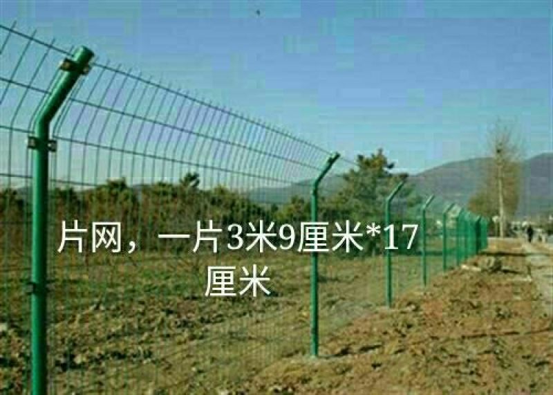 养鸡围栏网6公分