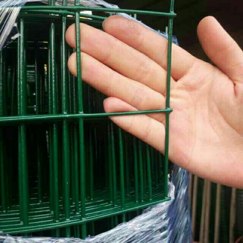 养鸡围栏网6公分