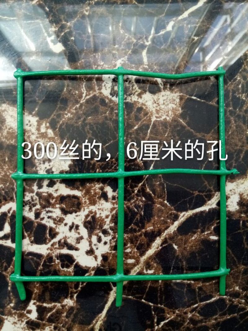 养鸡围栏网6公分