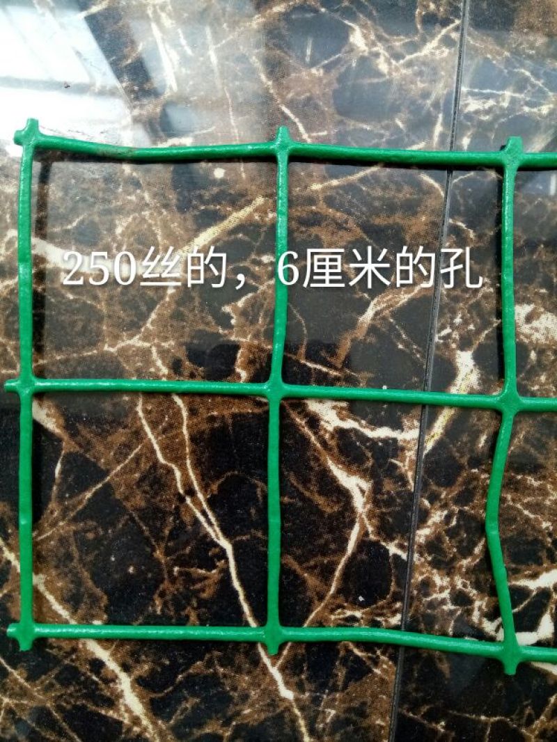 养鸡围栏网6公分