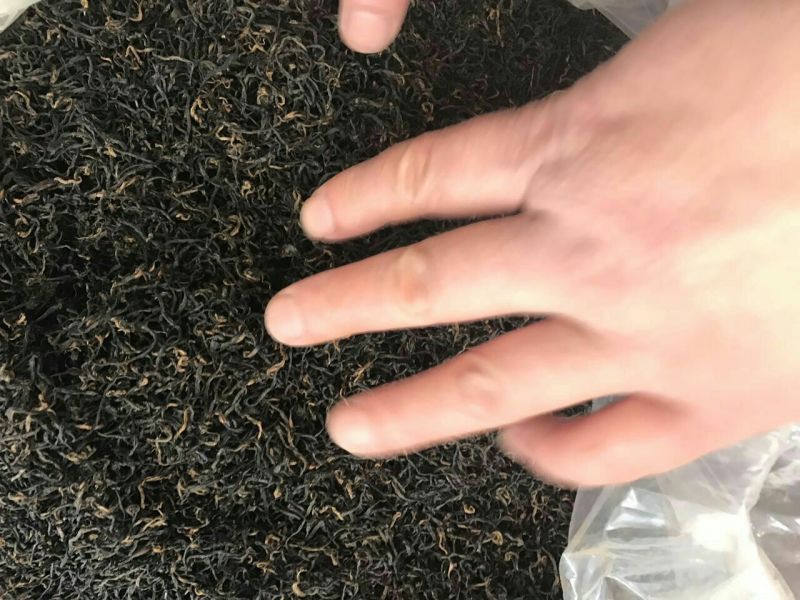 祁门红茶一级