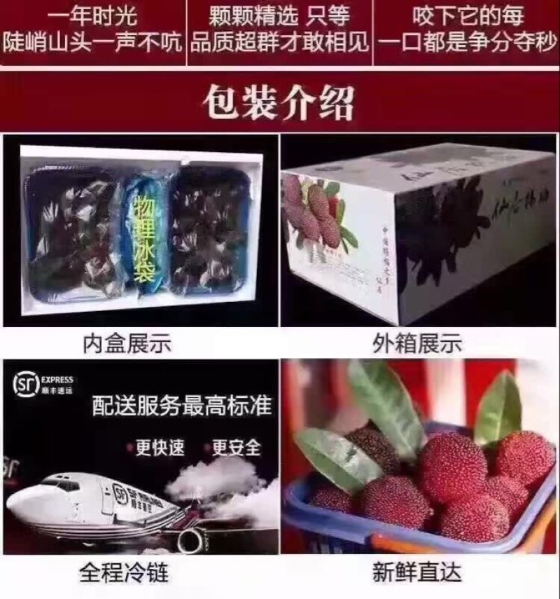 东魁杨梅