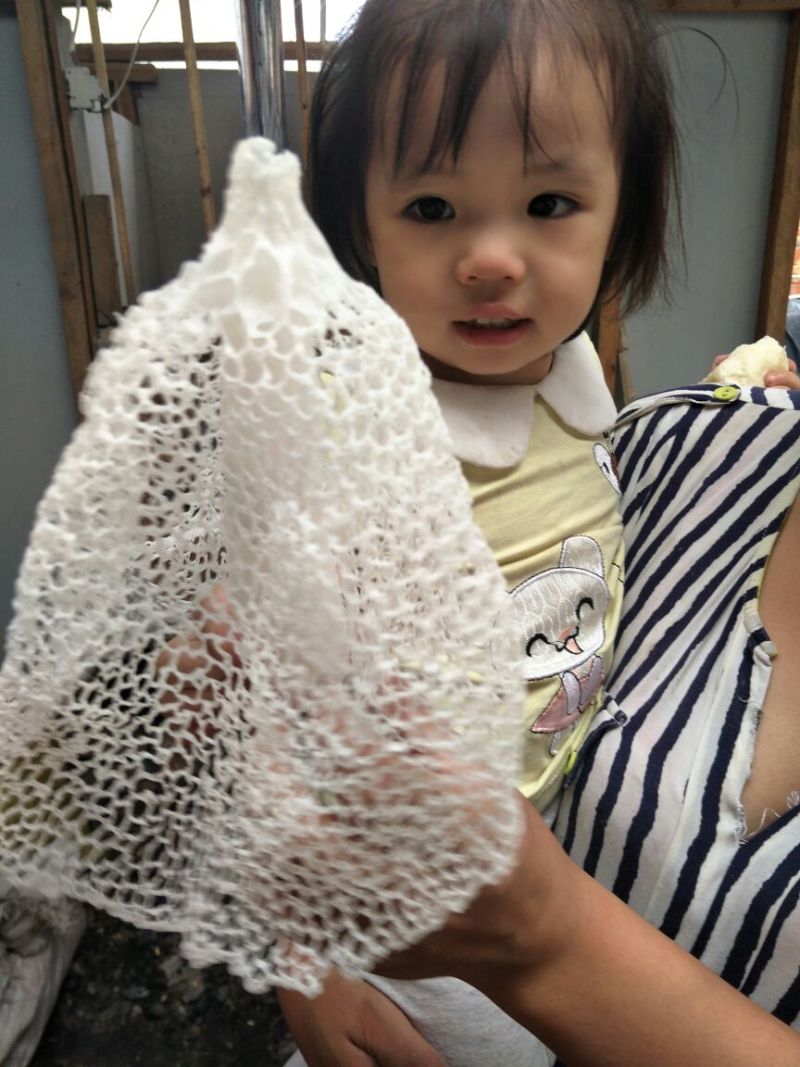 竹荪一级
