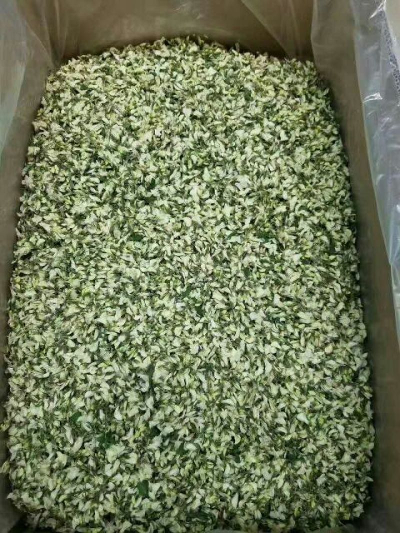 石花菜一手货源价格便宜，质量有保证，全国发货，