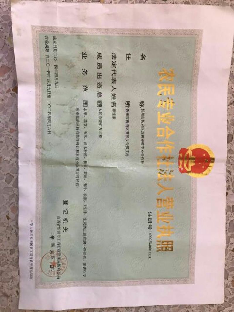 忻州甜瓜本人年从事行蔬菜水果年。。本人1753年从事68