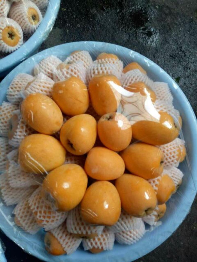 宜宾屏山正宗大五星枇杷，核小皮薄，肉质细腻