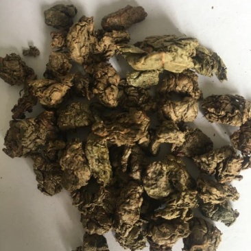 青钱柳茶一级