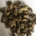 青钱柳茶一级