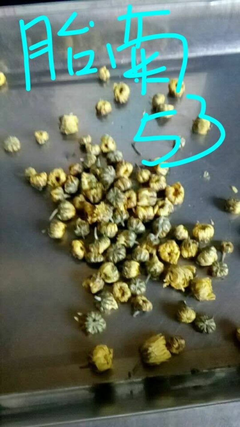 菊花茶二级