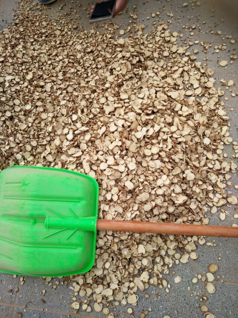 苦参长期大货供应各种规格饮片厂药厂兽药厂
