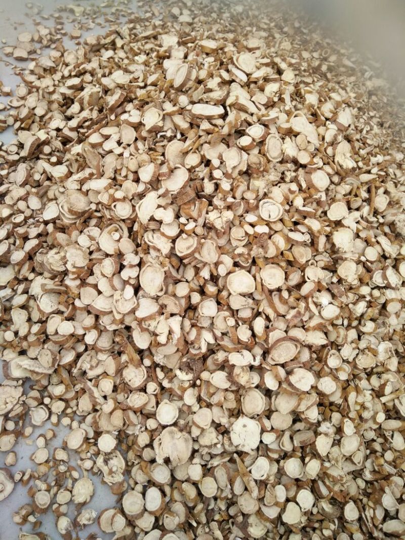 苦参长期大货供应各种规格饮片厂药厂兽药厂