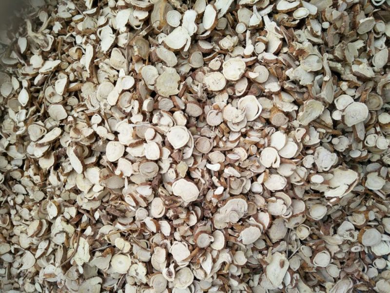 苦参长期大货供应各种规格饮片厂药厂兽药厂