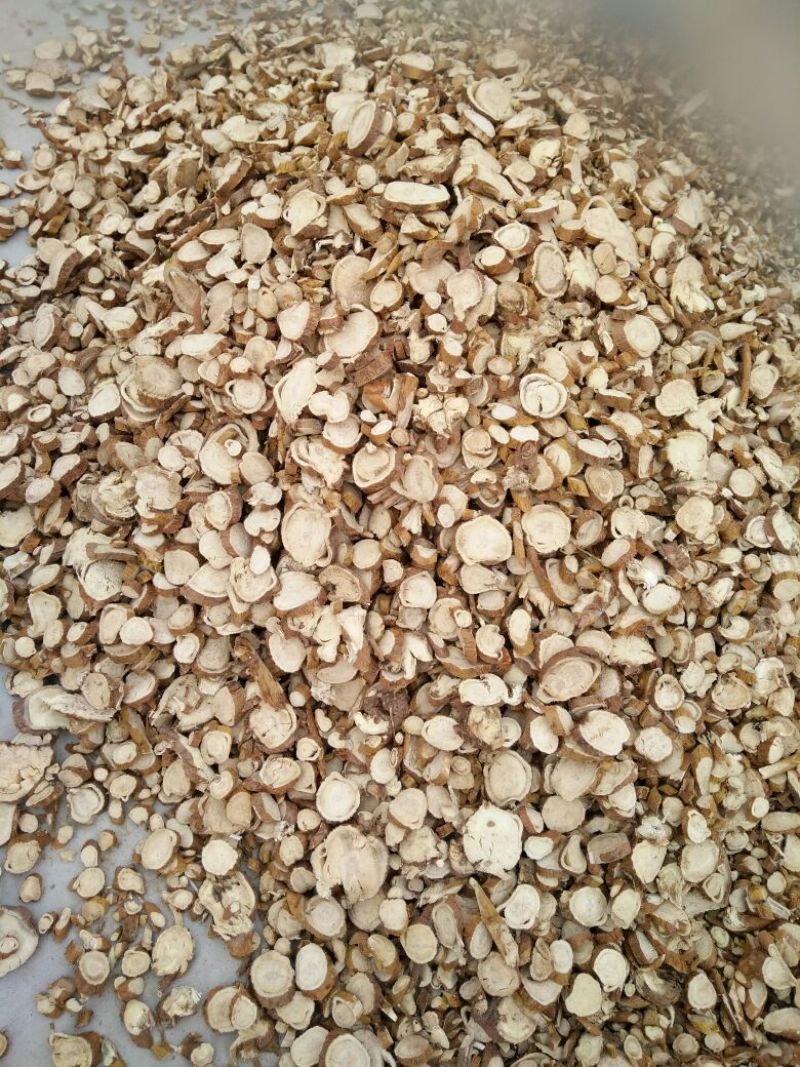 苦参长期大货供应各种规格饮片厂药厂兽药厂