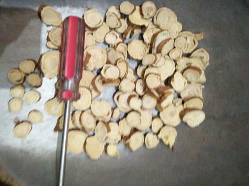 苦参长期大货供应各种规格饮片厂药厂兽药厂