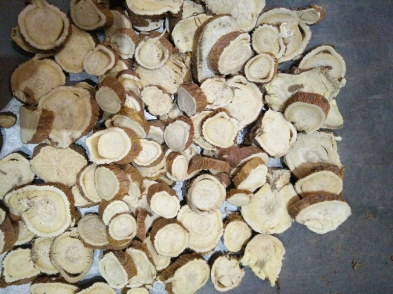 苦参长期大货供应各种规格饮片厂药厂兽药厂