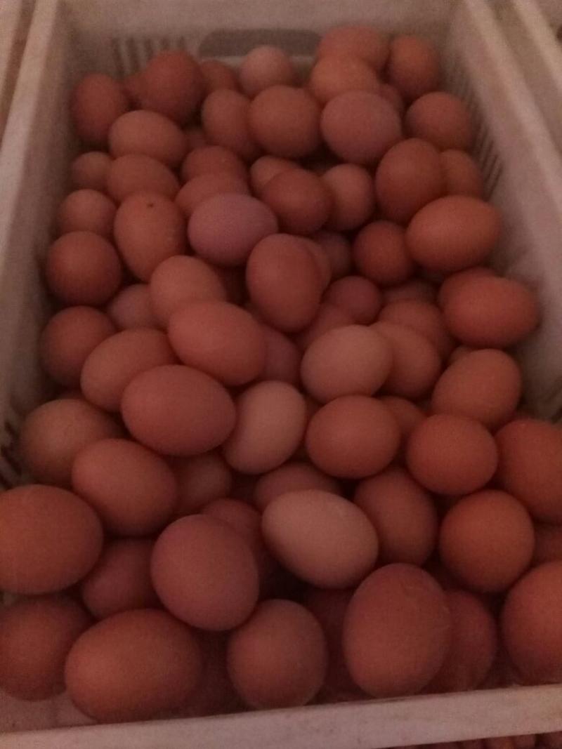 红蛋食用60~75g