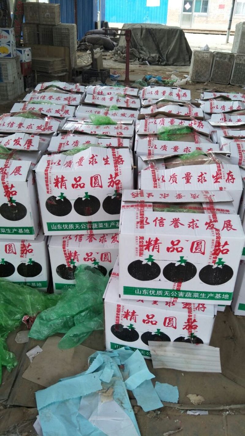 黑圆茄～产地供应~全年有货~山东~聊城～实力代收