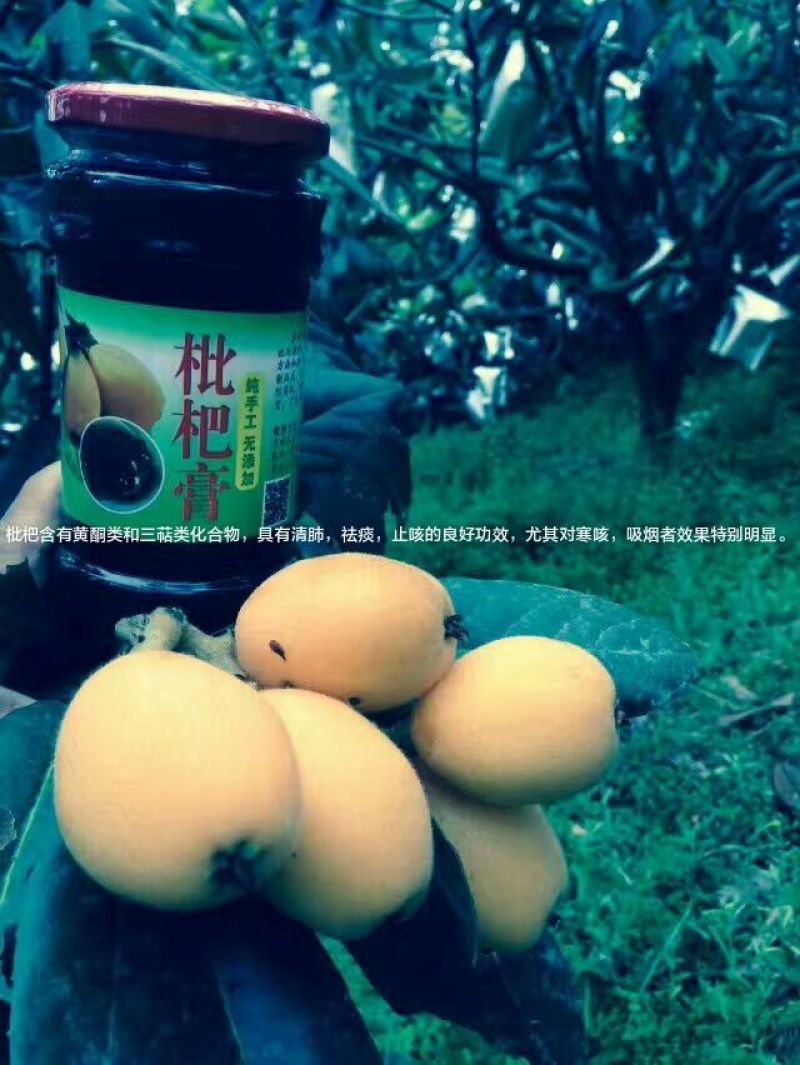 枇杷膏