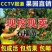 突尼斯软籽石榴树苗嫁接苗，自家苗圃培育出售。