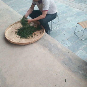 普洱茶一级