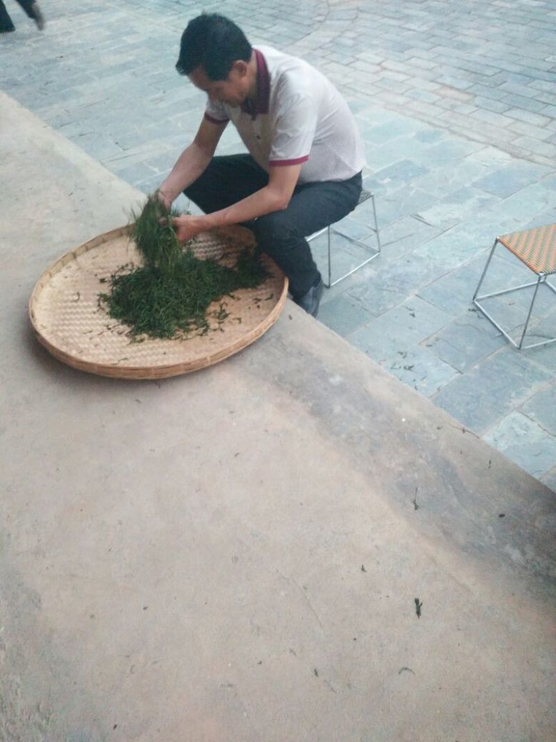 普洱茶一级