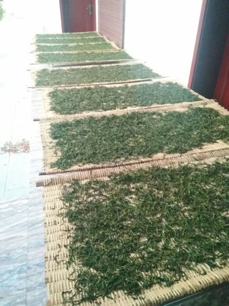 普洱茶一级