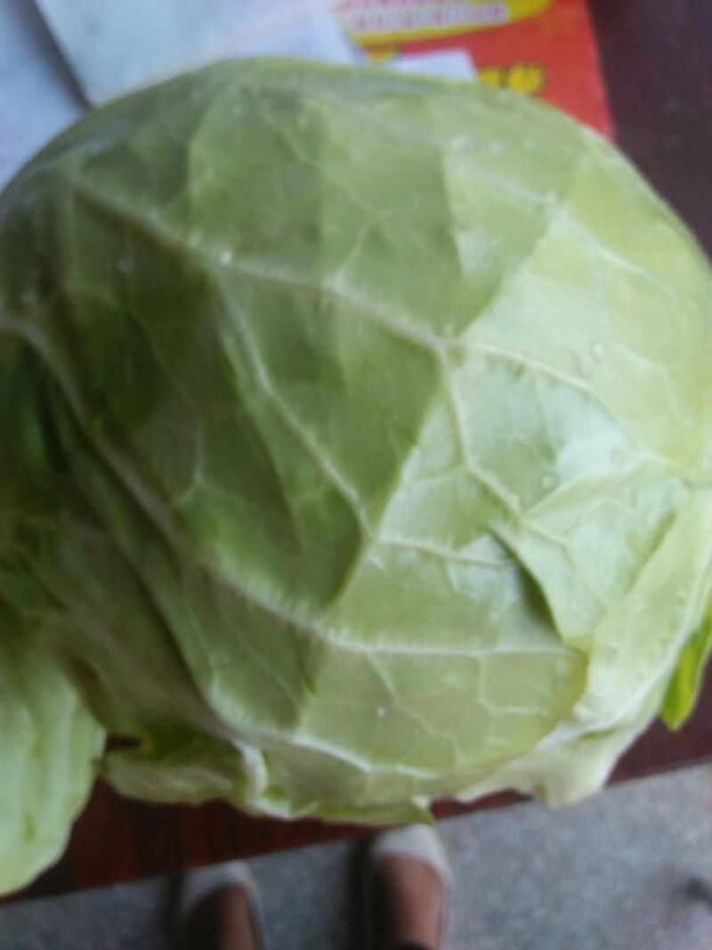 夏邑绿甘篮颜色绿，球形好，基地直供，代发全国。