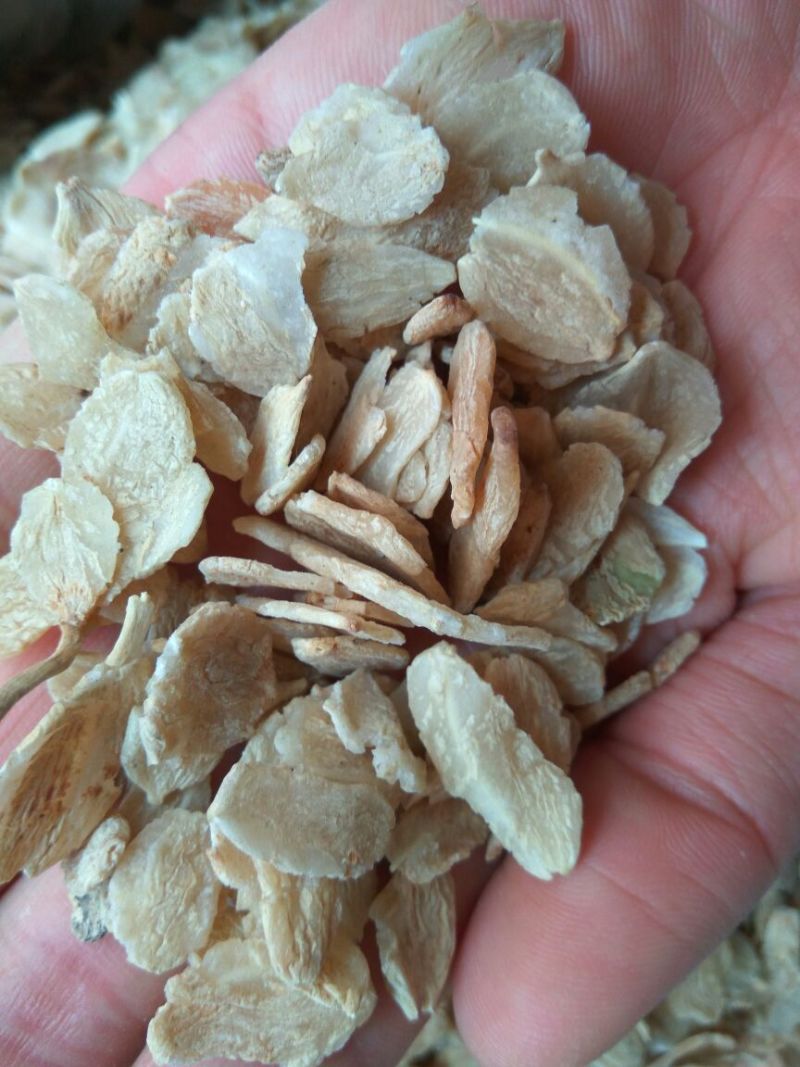 麦冬新货批发零售各种规格中药材大货批发中