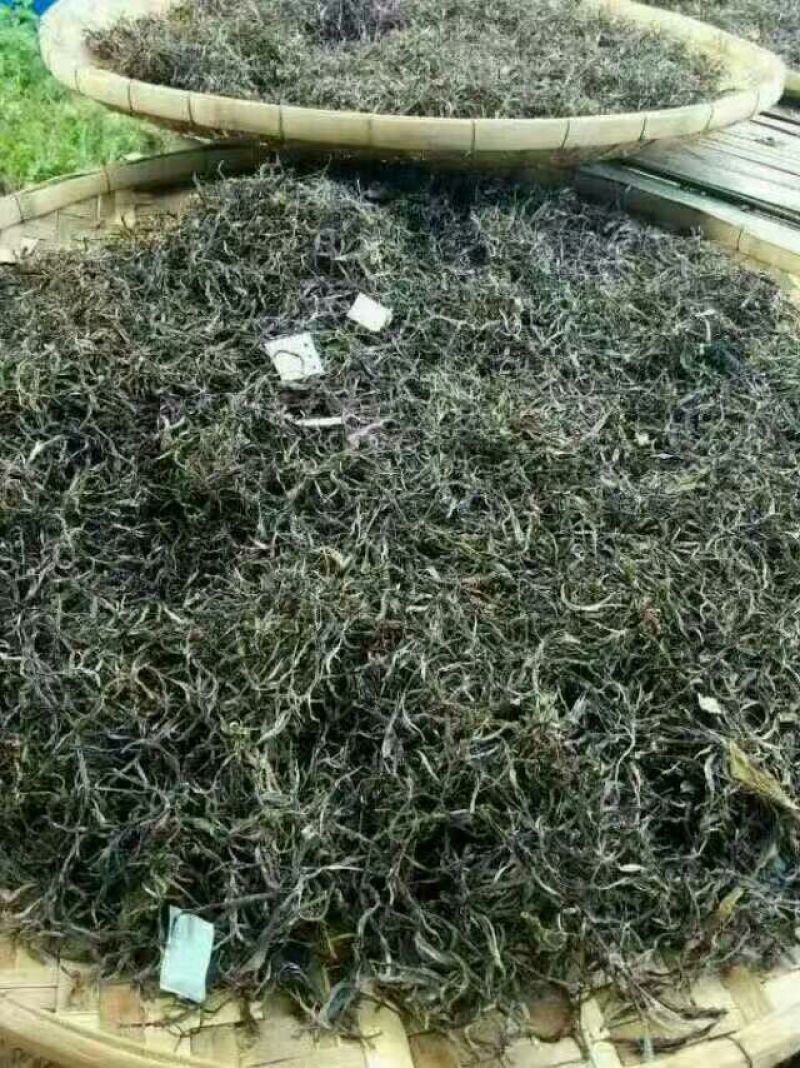 老树茶二级