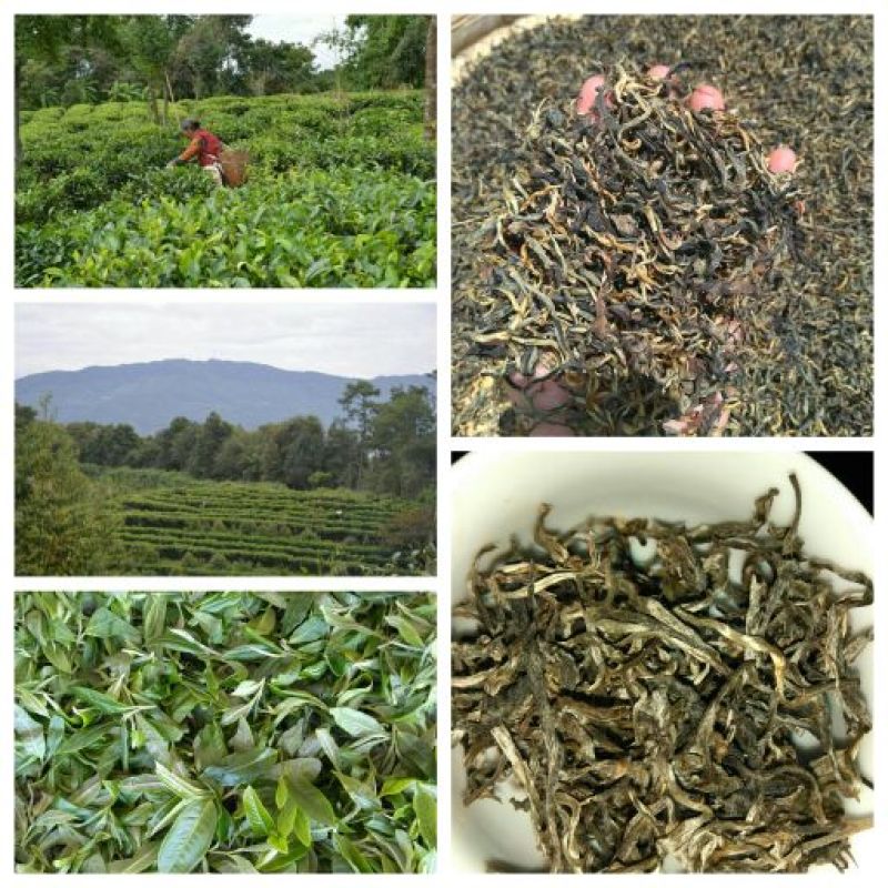普洱茶特级