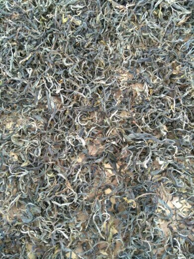 普洱茶特级