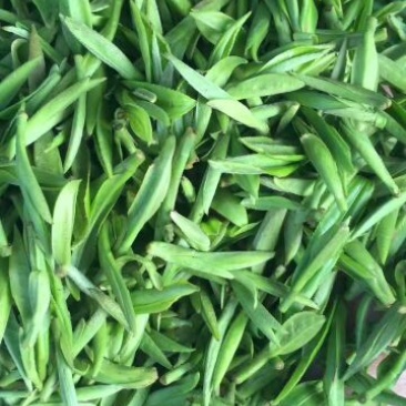 祁门红茶一级