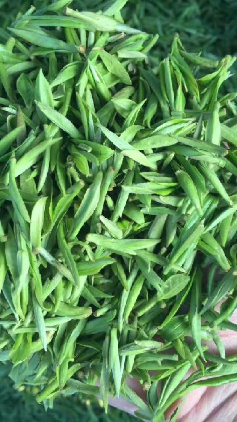 祁门红茶一级