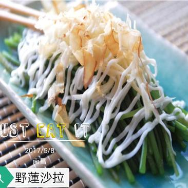 台湾野莲每天新鲜采摘/野菜特菜