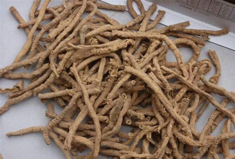 远志抽芯选货手选货干货2斤起包邮