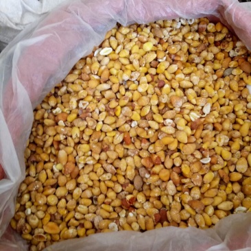 药用白果白果仁银杏仁去皮水煮白果仁药食同源