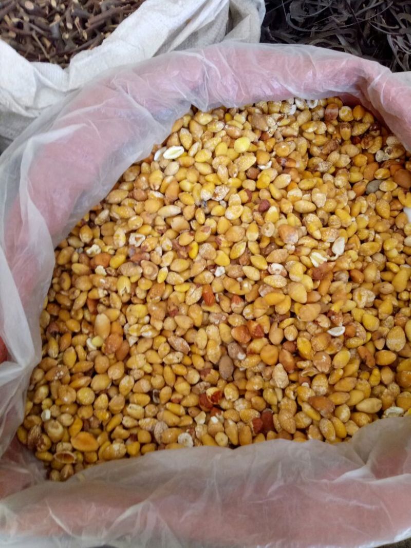 药用白果白果仁银杏仁去皮水煮白果仁药食同源
