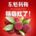 东魁杨梅